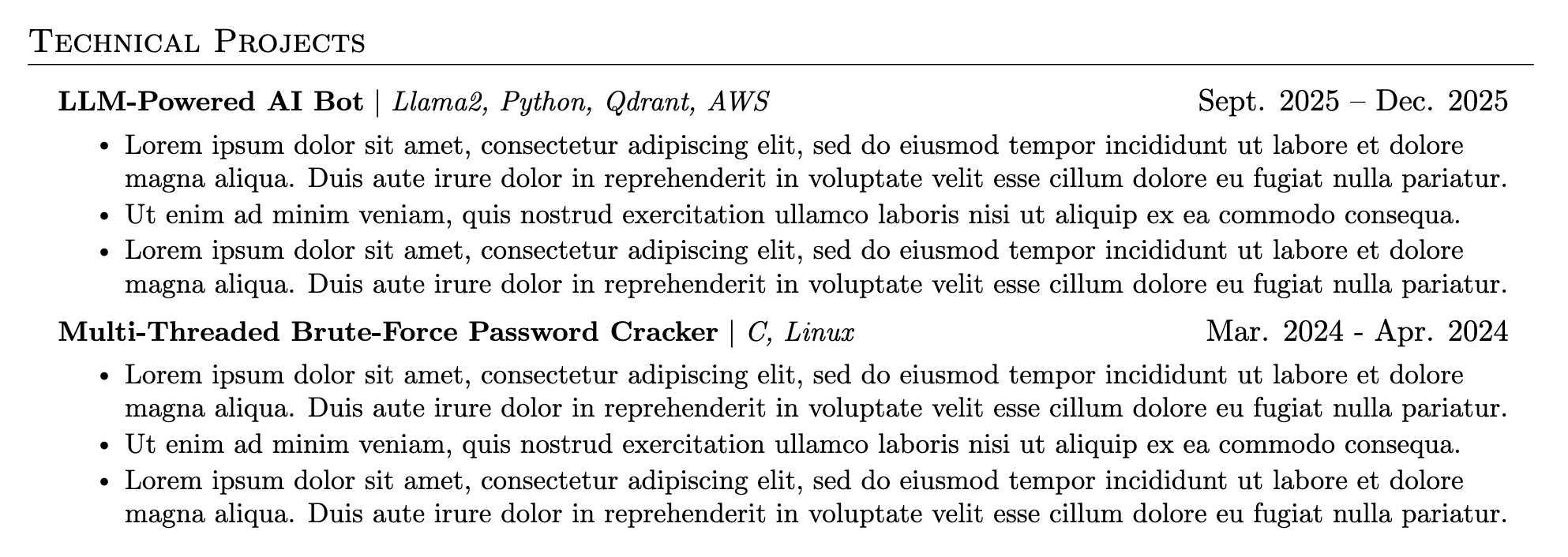 technical projects section example